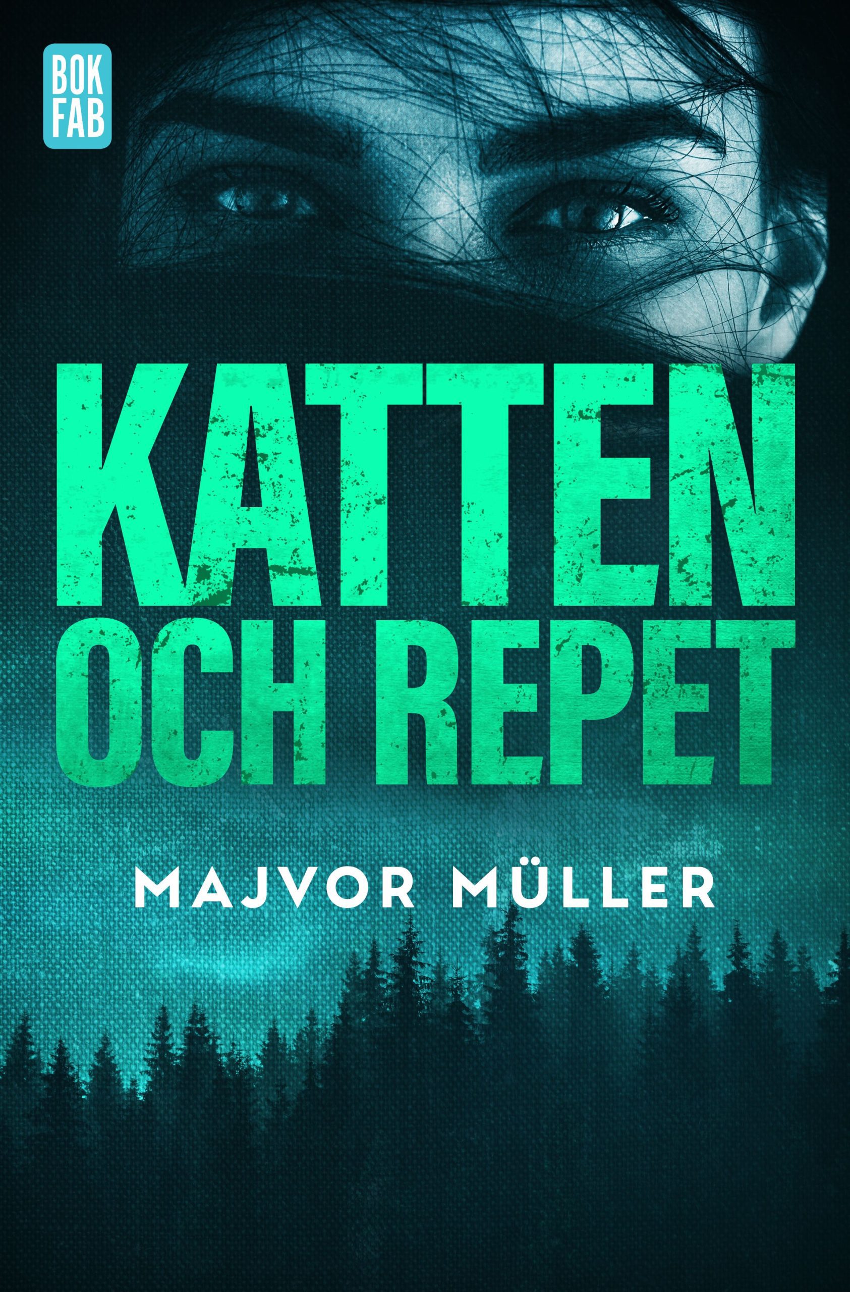 Katten och repet Majvor Müller