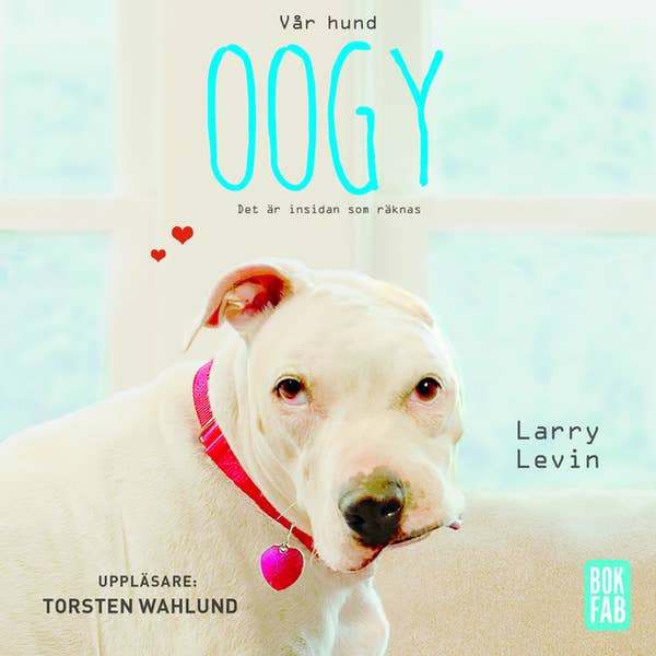 Vår hund Oogy Larry Levin