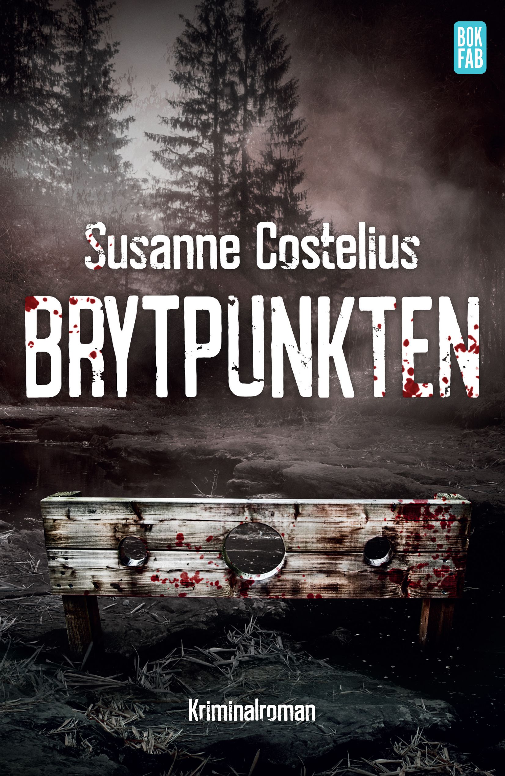 Brytpunkte Susanne Costelius