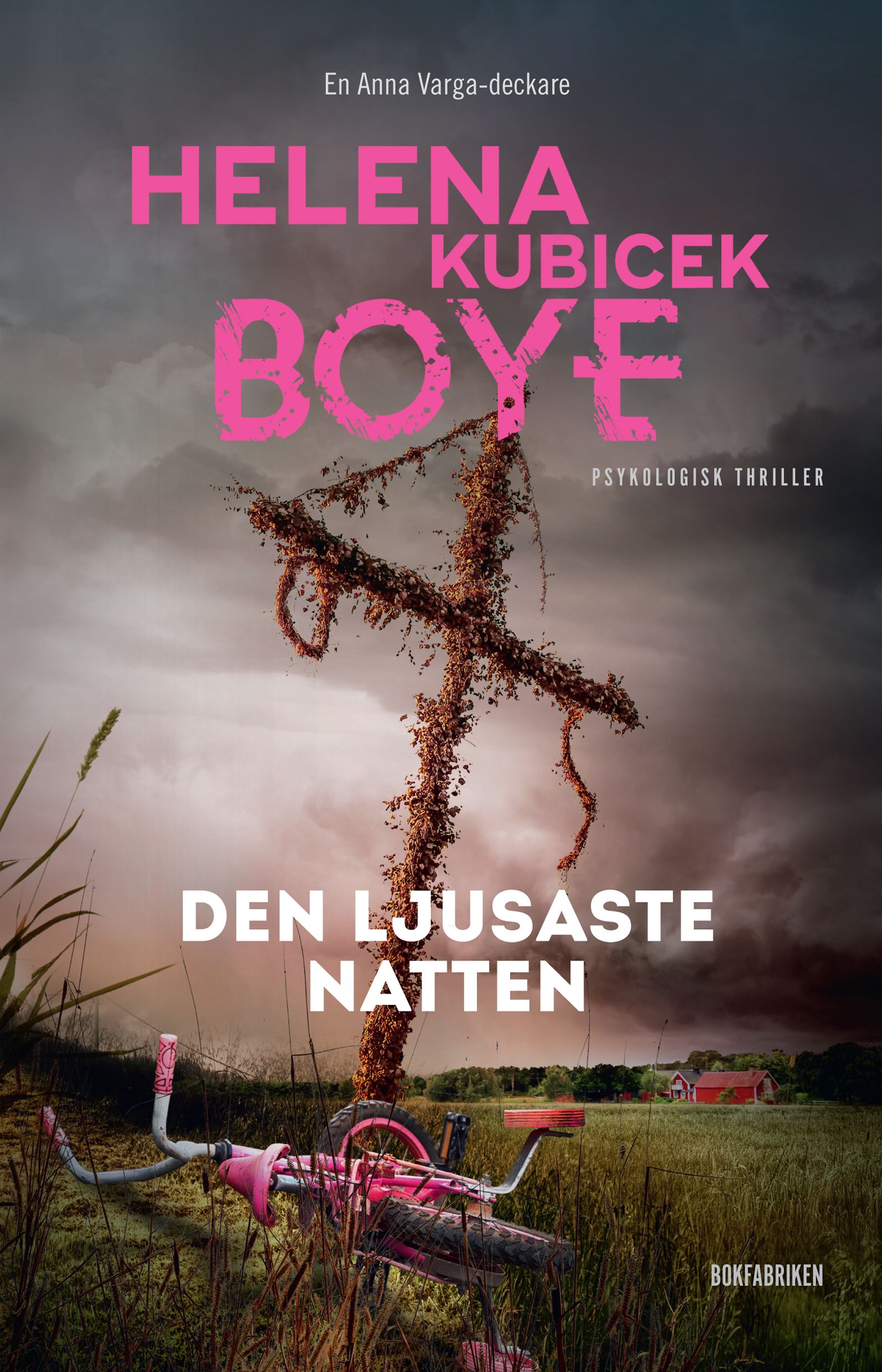 Den ljusaste natten Helena Kubicek Boye