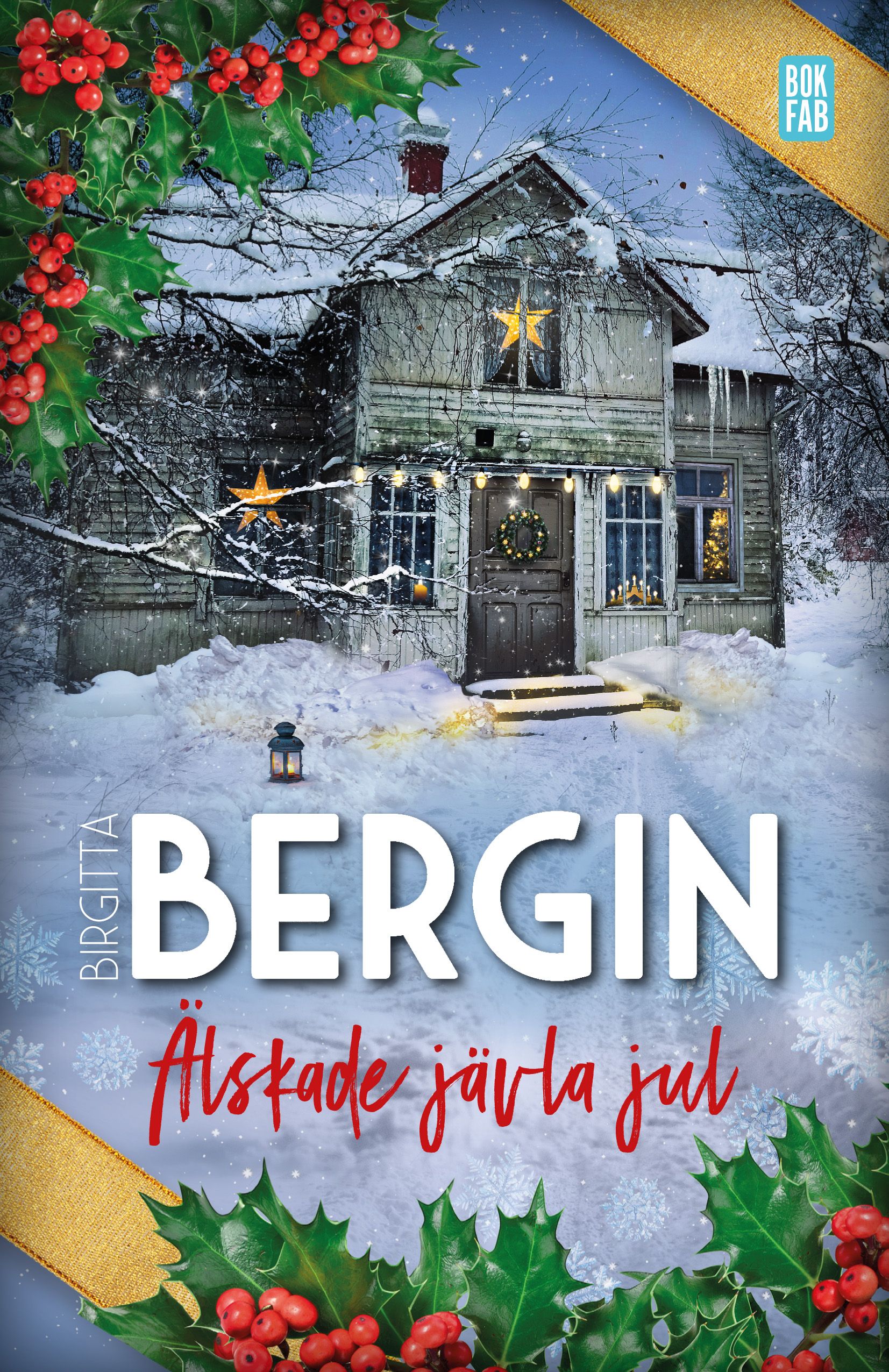 Älskade jävla jul Birgitta Bergin