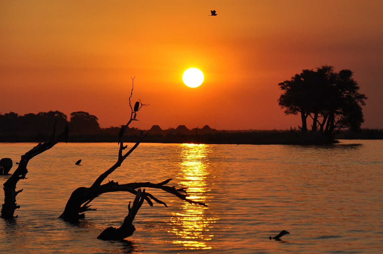 botswana, sunset, chobe-1681254.jpg