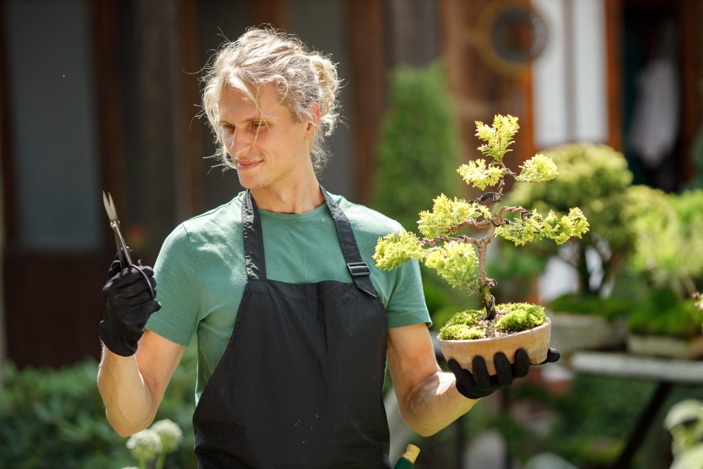 Man som passer og plejer sit bonsai træ