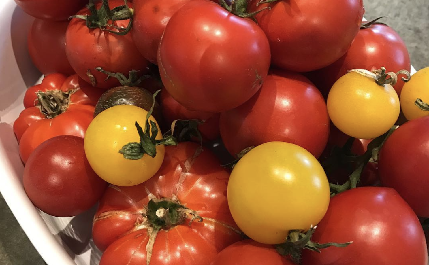 Q&A om tomater