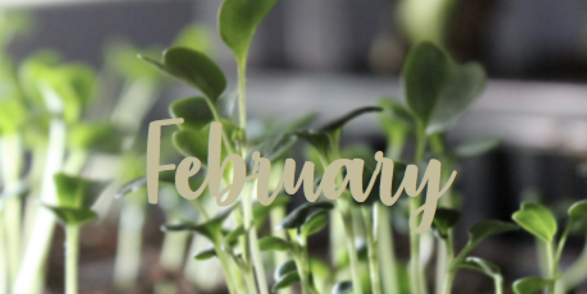 Februari – längtans tid
