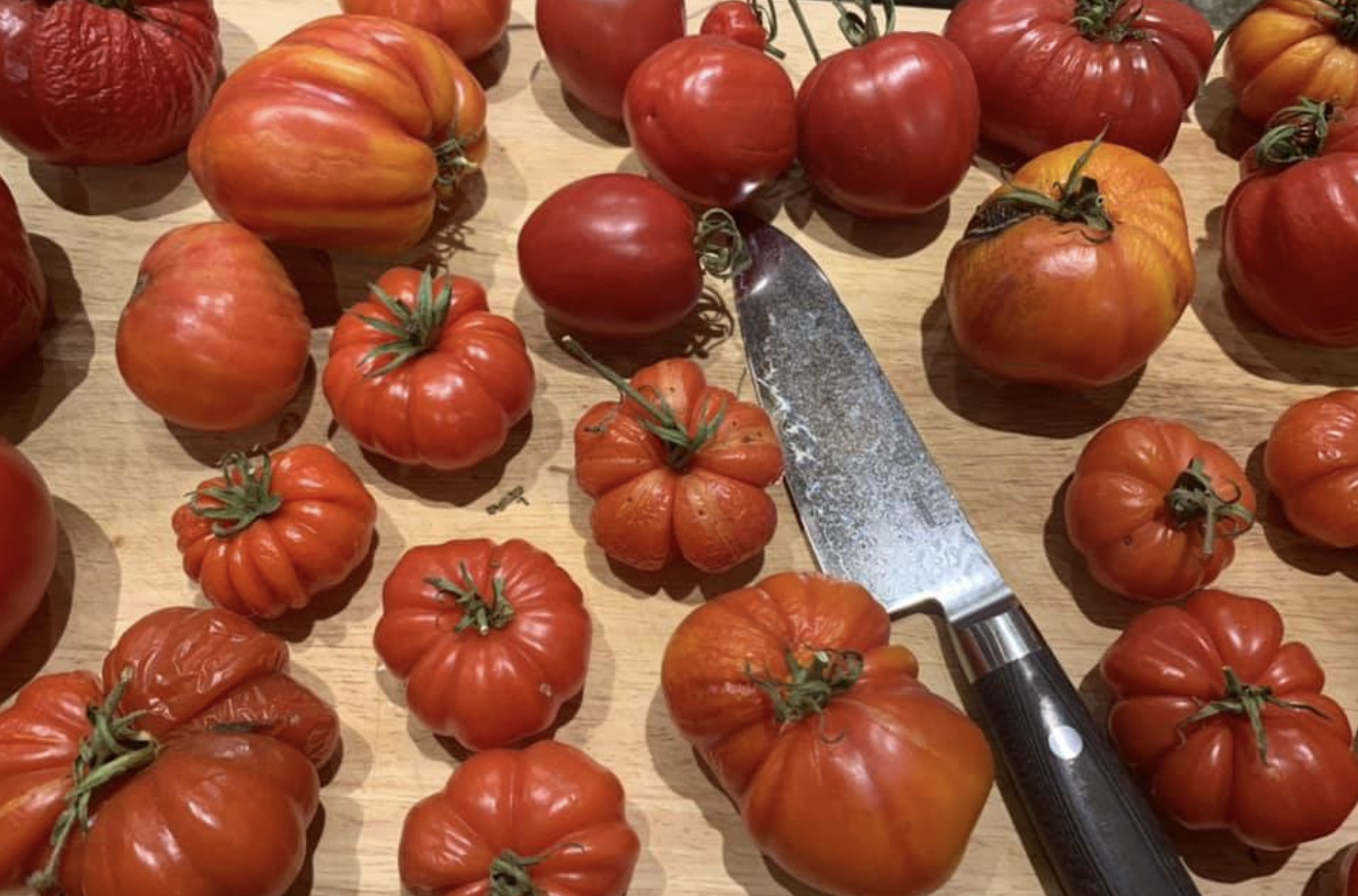Frysta tomater på tre smarta sätt