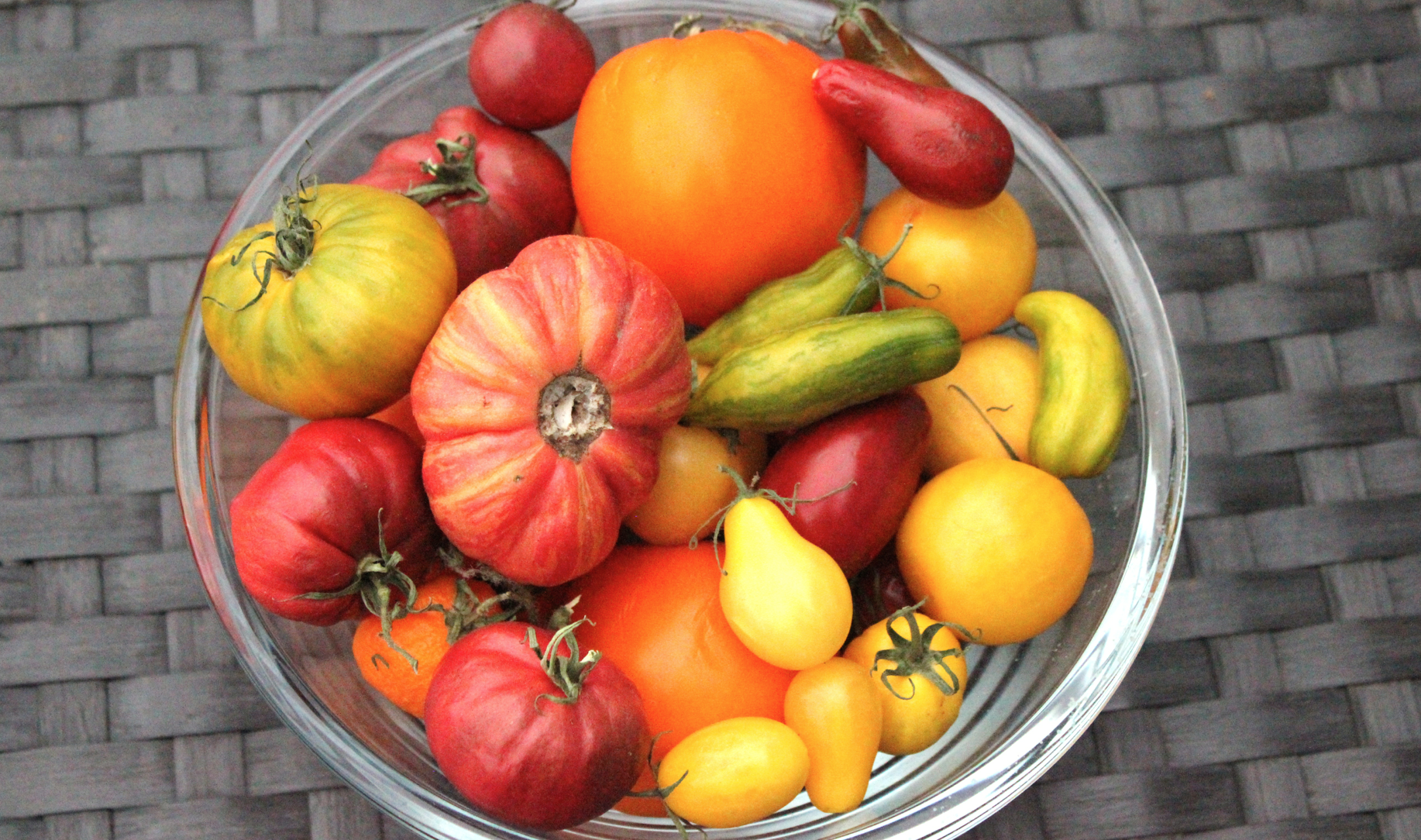 Tomatsäsong – vinterhalvåret