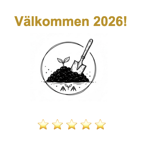 ⭐ Välkommen 2026 ⭐