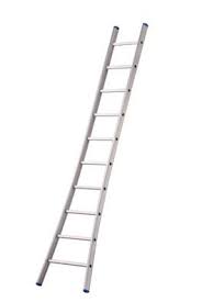 Solide Enkele ladder (gebogen voet)