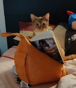 Goose the cat reading a book.