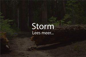 Omgevallen boom op wandelpad na storm, opschrift 'Storm', Stormschade Boomverzorging -Professionele Boomkapper en Boomverzorging Jos Camp