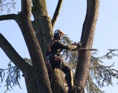 Verwijderen met spieringkraan in Bussum