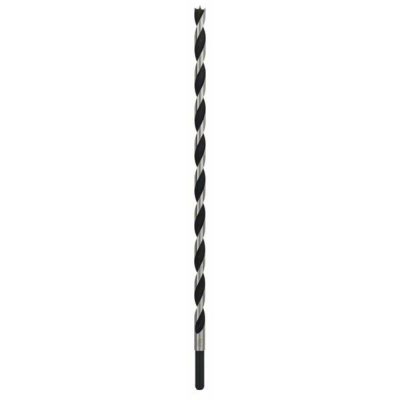 Bosch Accessories 2608597197 Hout-spiraalboor 12 mm Gezamenlijke lengte 400 mm Cilinderschacht 1 stuk(s)