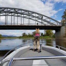 Vorbeifahrt in Rinteln