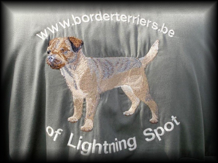 border terriers of lightning spot