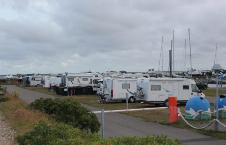 Bork Havn Autocamperplads — photo 8