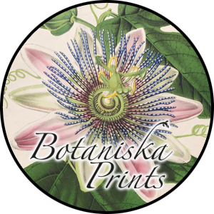 Webbshop Botaniska Planscher
