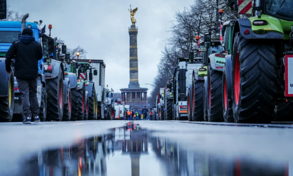 0-500-1705325007xprotestapng-498-600x360