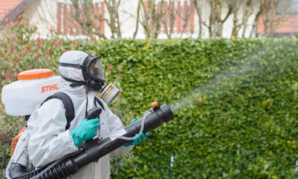 dezinsektimi-780x439-1-600x360