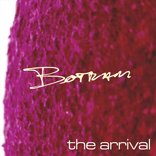 Cover art for The Arrival by Botram