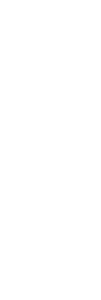 Programm Weihnachten