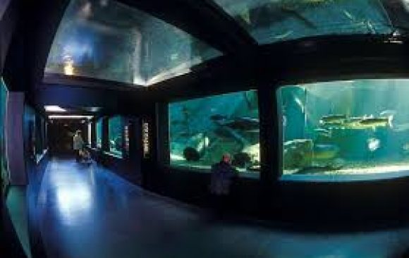 Aquarium de Touraine