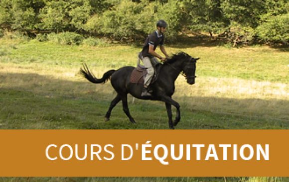 Cours d'équitation