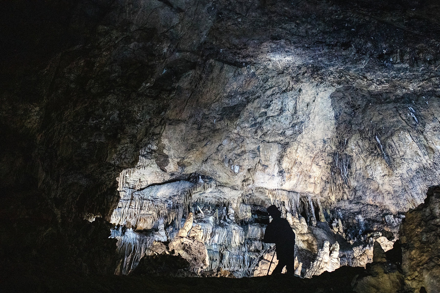 Visite des Grottes de Han