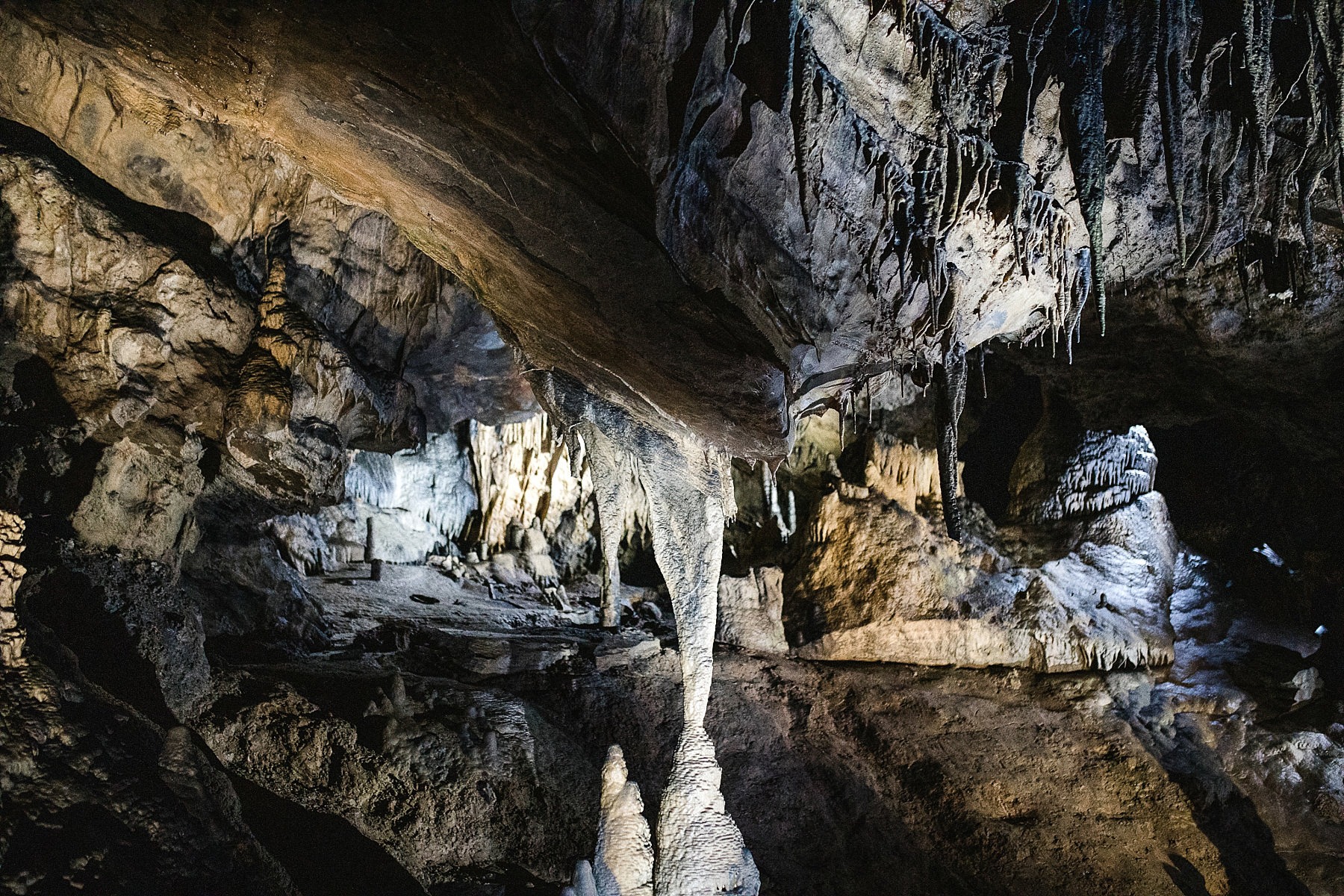 Visite des Grottes de Han