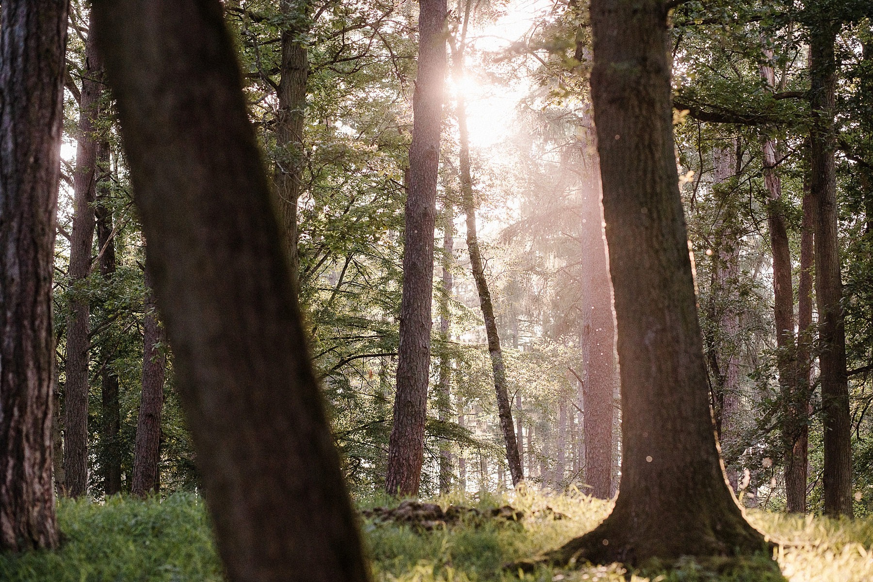 Dormir dans les arbres aux Grottes de Han