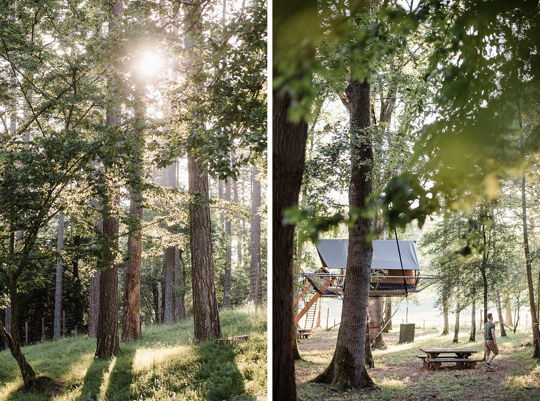 Dormir dans les arbres aux Grottes de Han