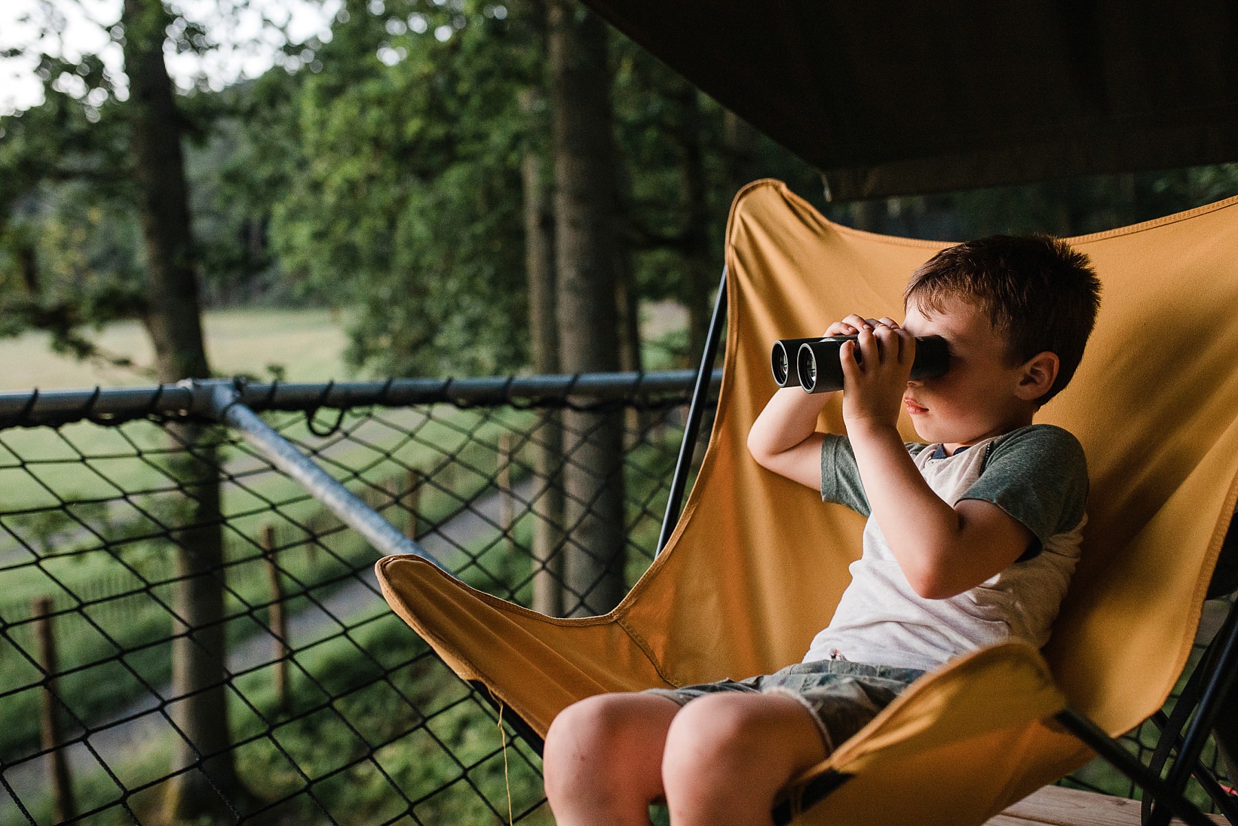 Tree Tents - Dormir dans les arbres aux Grottes de Han