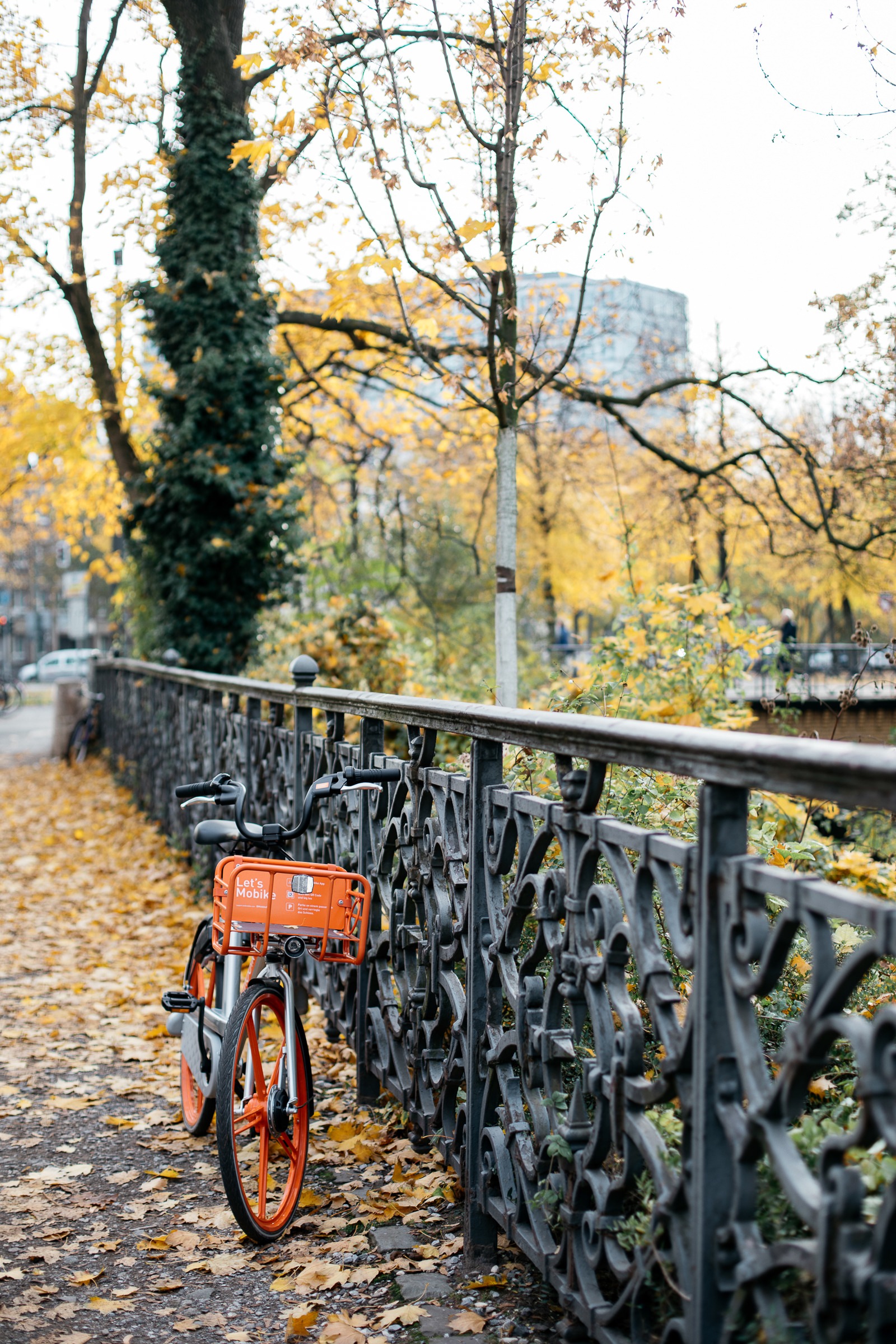 Dusseldorf, 10 endroits à découvrir absolument 1