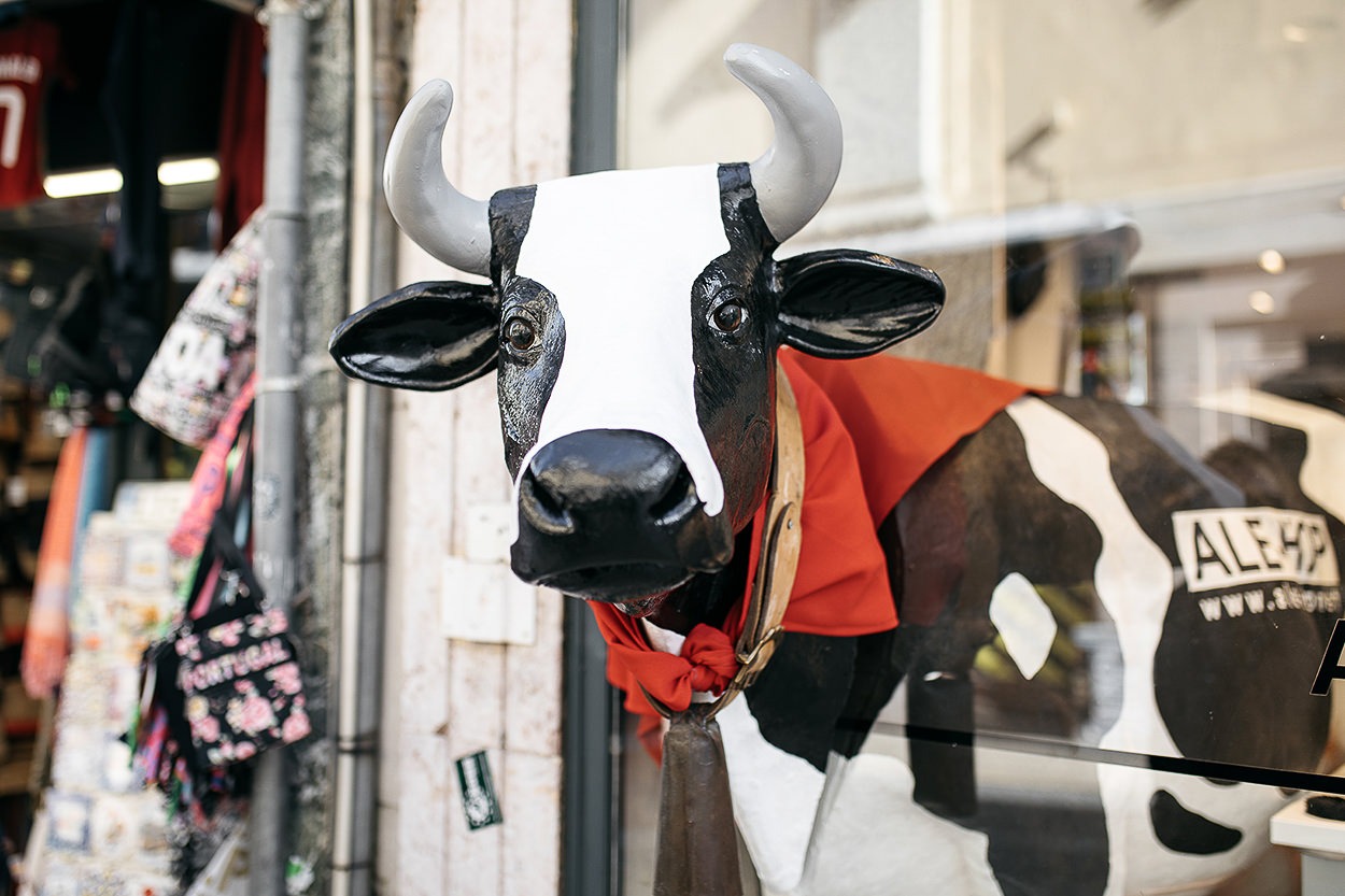 10 découvertes à Lisbonne avec nos amis 6