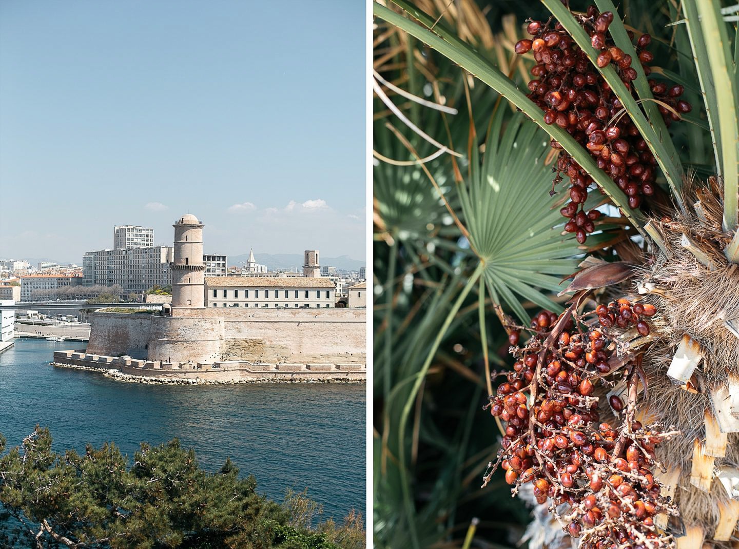 Marseille, plus belle la ville 36