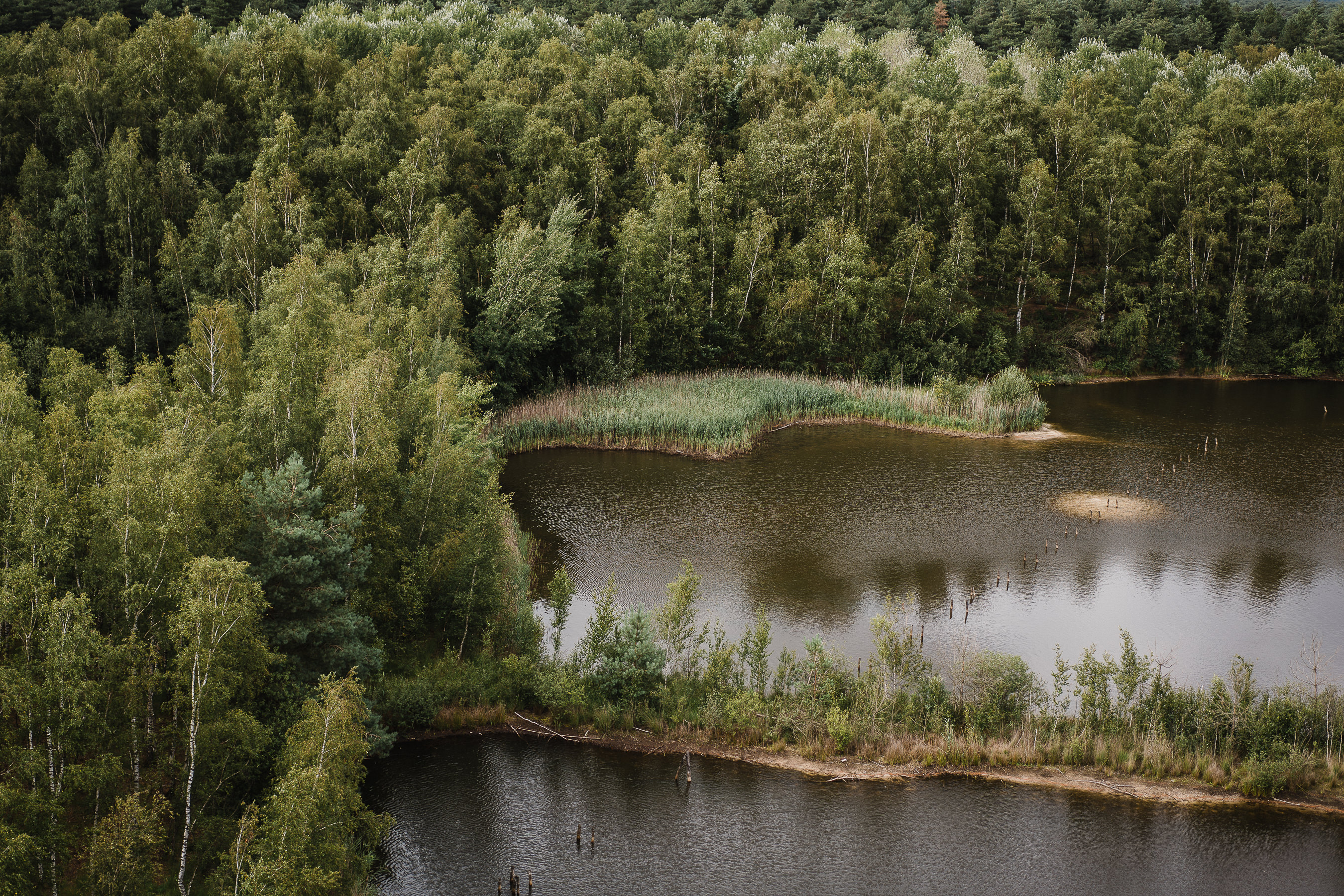 Foret et lacs au Sahara Belge