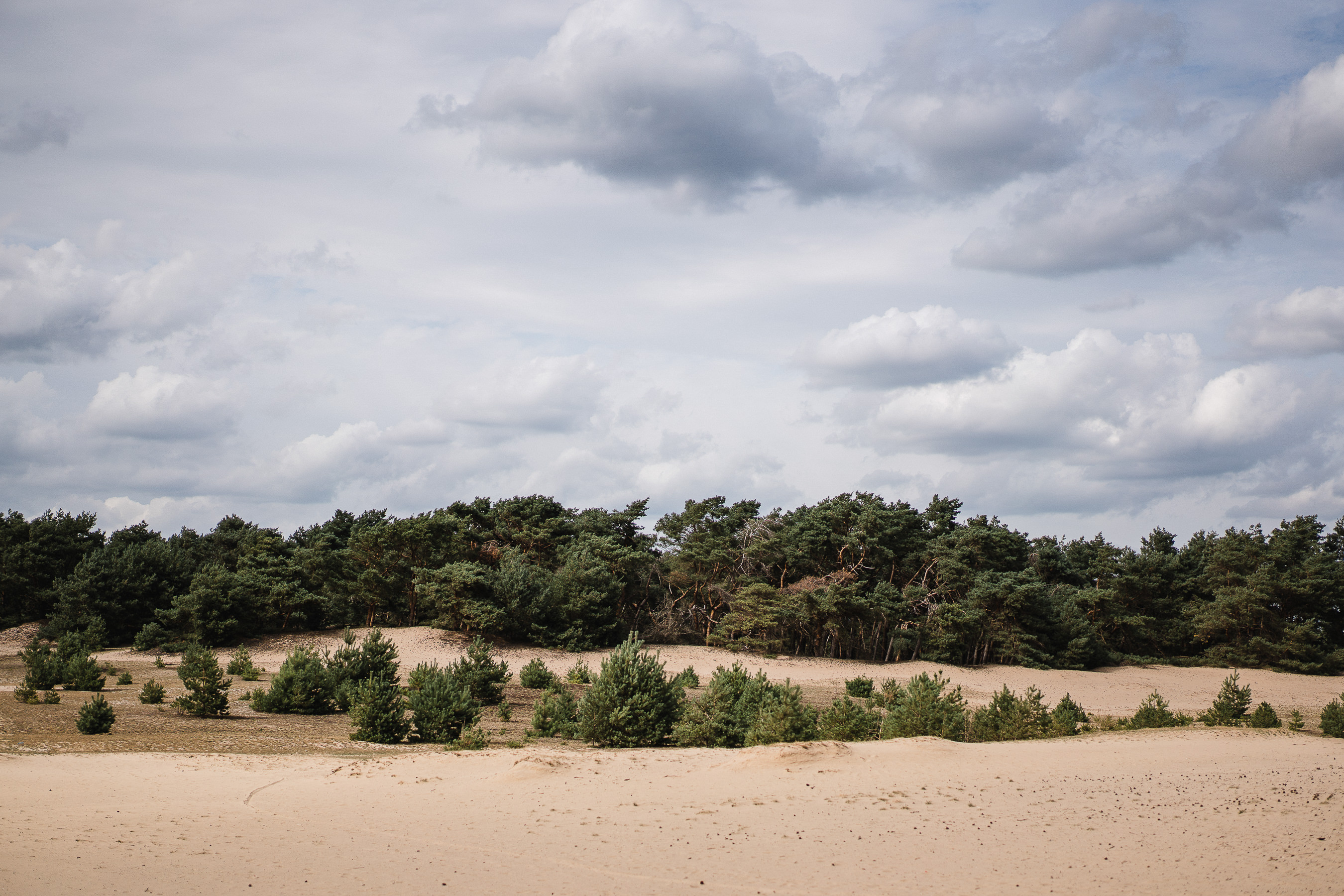 Le sable du Sahara Belge