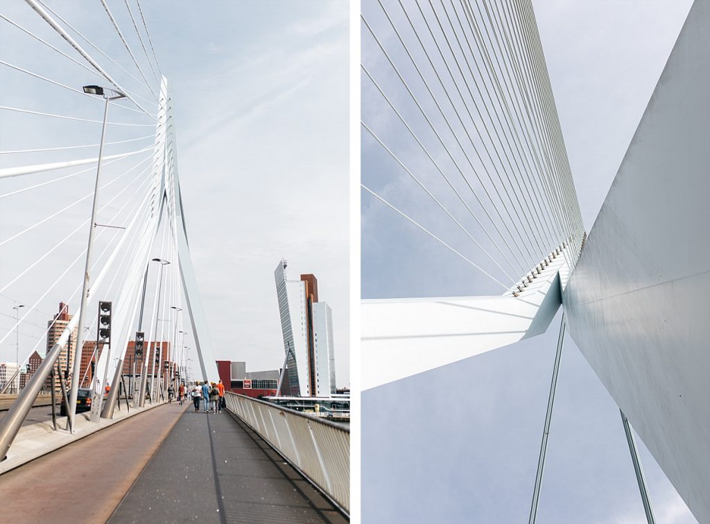 Pont Erasmus Rotterdam