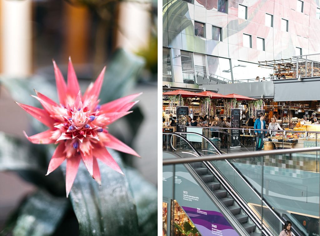 Markthal Rotterdam