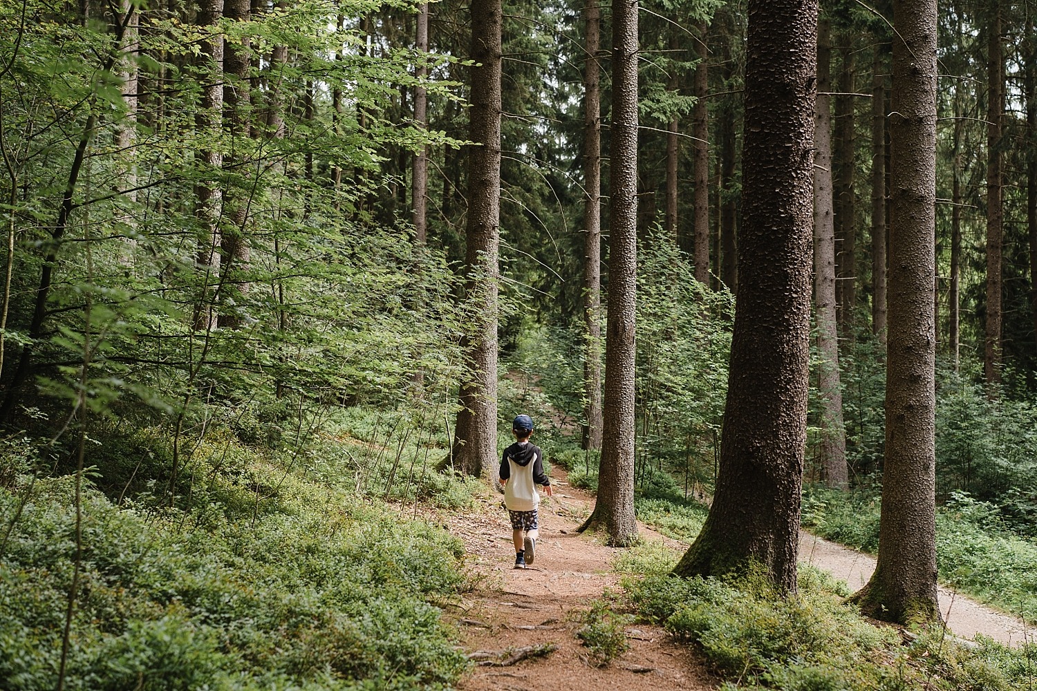 Randonnée de 9km aux Trôs-Marets dans un canyon belge 2