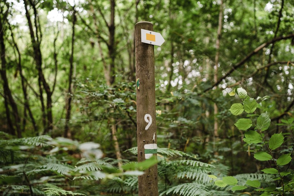 9km en forêt pour les ruines de Villers-la-ville 16