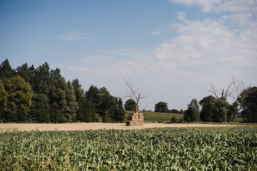 Le sentier de l'étrange à Ellezelles avec Totemus 25