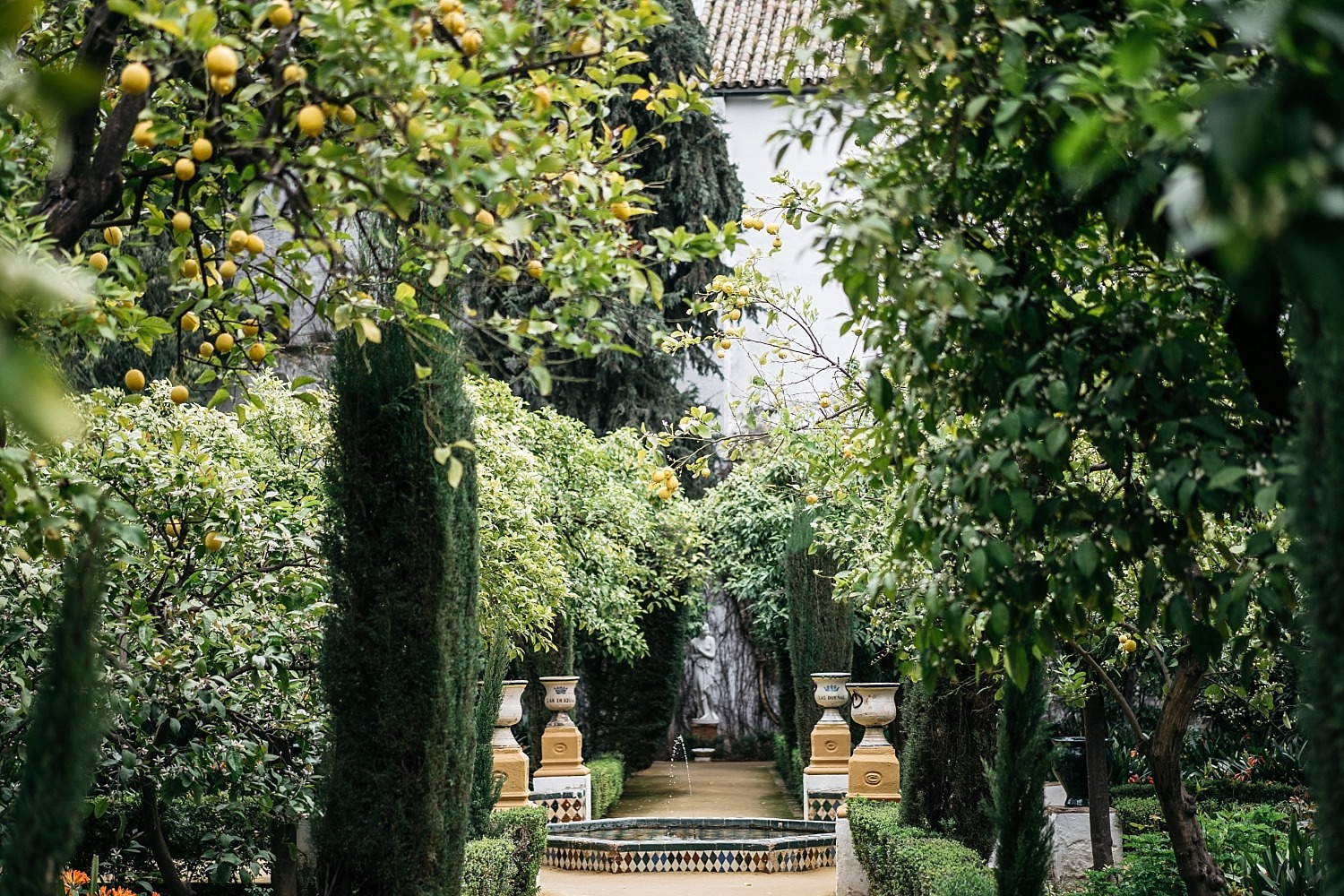 Escapade en amoureux à Séville en Andalousie 7