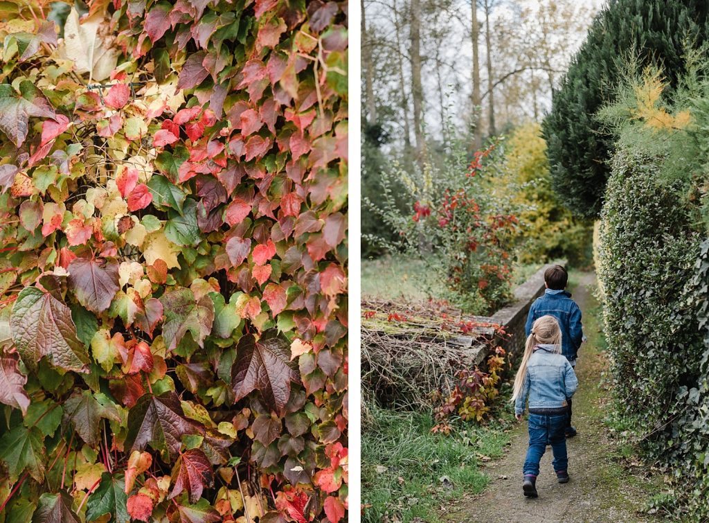 Rando entre nature et Moyen Age à Braine-le-château 97