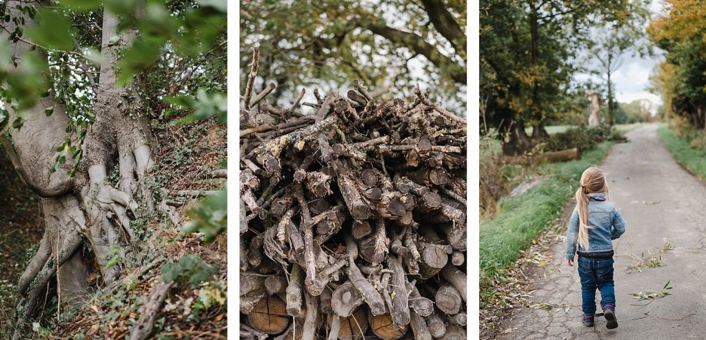 Rando entre nature et Moyen Age à Braine-le-château 108