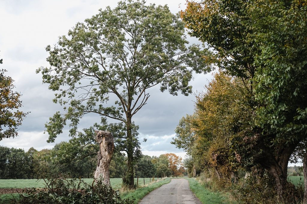 Rando entre nature et Moyen Age à Braine-le-château 108