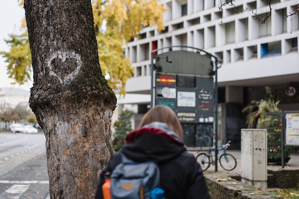 A la découverte de Namur avec Totemus 85