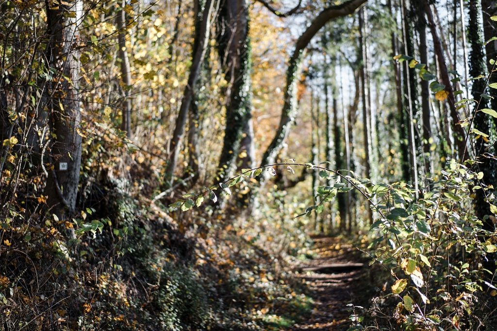 Malmedy totemus Ardennes Belgique Randonnée famille