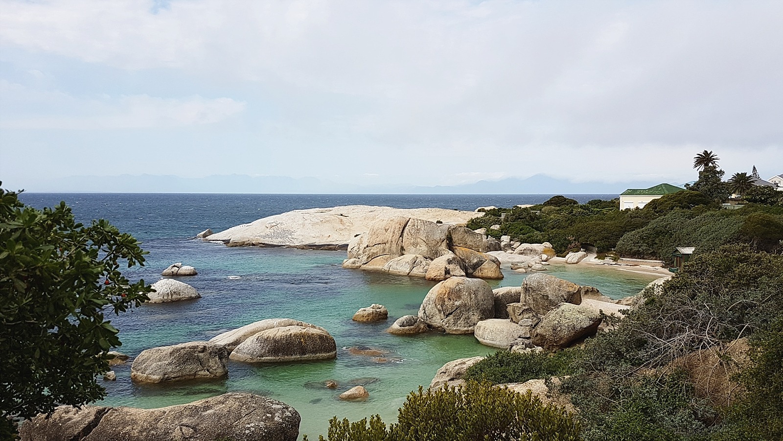 Cape Town Boulders beach manchots Afrique du sud