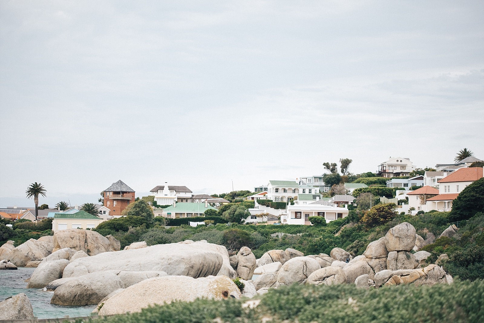 Cape Town Boulders beach manchots Afrique du sud